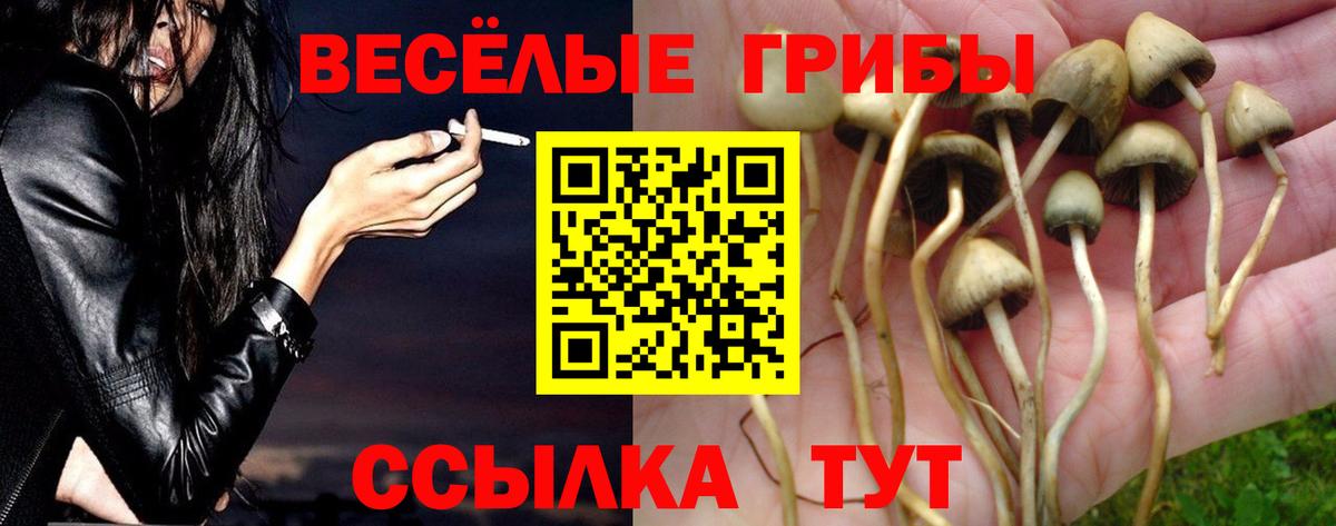 Галлюциногенные грибы ЛСД Россия